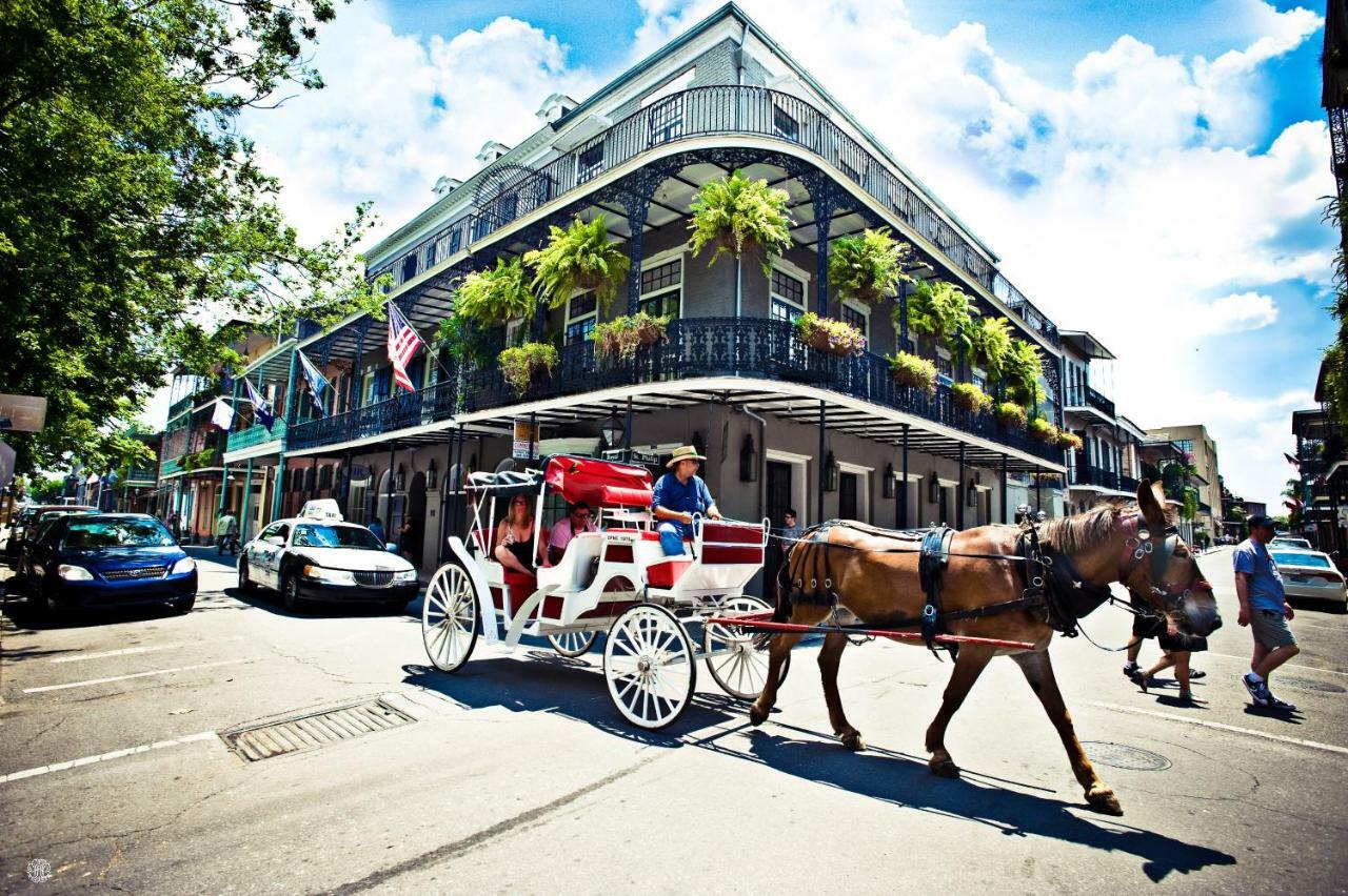 Esplanade Magic Apartment New Orleans Exterior foto